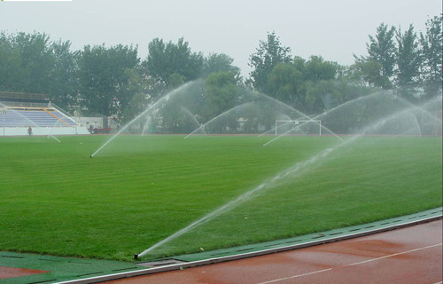 ����ϵ��