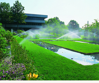 ����ϵ��